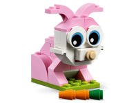 LEGO set 11003-1 Bricks and Eyes - Image 5