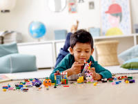 LEGO set 11003-1 Bricks and Eyes - Image 8