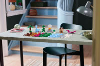 LEGO set 11041-1 Creative Dinosaurs - Image 3