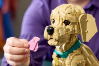 LEGO set 11384-1 Golden Retriever Puppy - Image 4