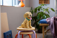 LEGO set 11384-1 Golden Retriever Puppy - Image 8