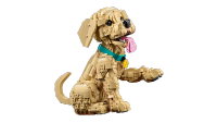LEGO set 11384-1 Golden Retriever Puppy - Image 11