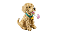 LEGO set 11384-1 Golden Retriever Puppy - Image 13