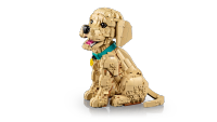 LEGO set 11384-1 Golden Retriever Puppy - Image 15