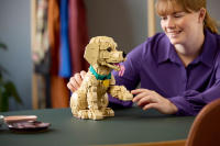 LEGO set 11384-1 Golden Retriever Puppy - Image 18