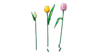 LEGO set 11501-1 Tulip Bouquet - Image 12