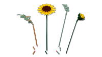 LEGO set 11502-1 Sunflower Bouquet - Image 12