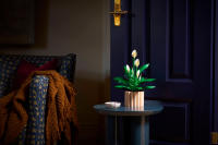 LEGO set 11504-1 Peace Lily - Image 3