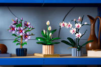 LEGO set 11504-1 Peace Lily - Image 6