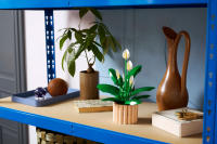 LEGO set 11504-1 Peace Lily - Image 9