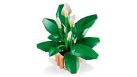 LEGO set 11504-1 Peace Lily - Image 11
