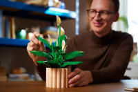 LEGO set 11504-1 Peace Lily - Image 14