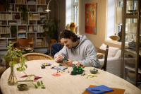 LEGO set 11505-1 Woodland Mushrooms - Image 9