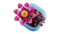 LEGO set 11509-1 Flowering Cactus - Image 5