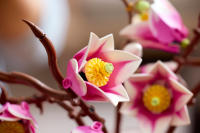 LEGO set 11510-1 Magnolia Branches - Image 4