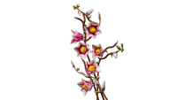 LEGO set 11510-1 Magnolia Branches - Image 16