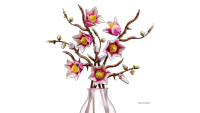 LEGO set 11510-1 Magnolia Branches - Image 17
