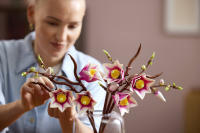 LEGO set 11510-1 Magnolia Branches - Image 19
