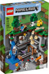 LEGO set 21169-1 The First Adventure - Image 2