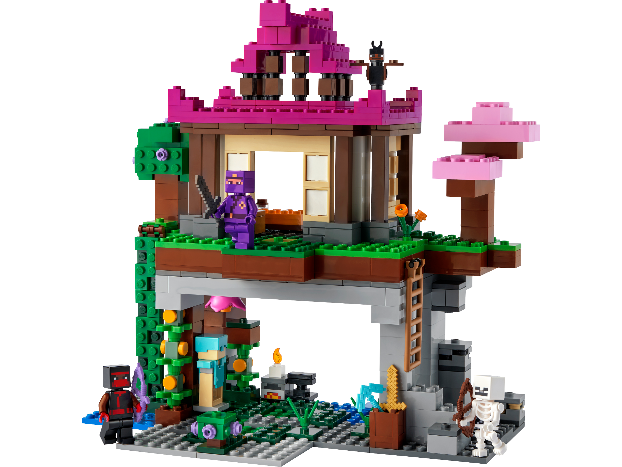 LEGO set 21183-1 The Training Grounds - Image 1