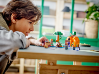 LEGO set 21248-1 The Pumpkin Farm - Image 9