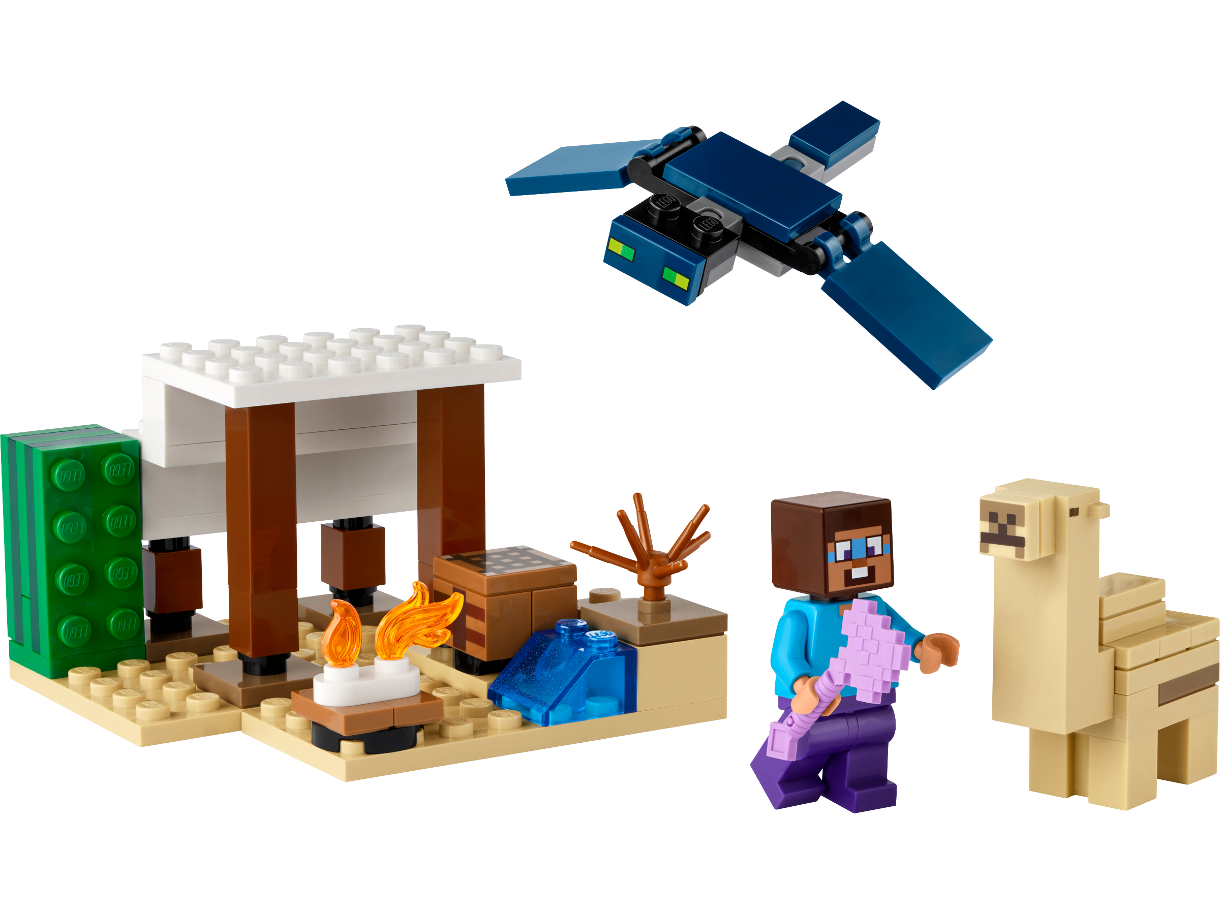 LEGO set 21251-1 Steve's Desert Expedition - Image 1