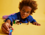 LEGO set 21251-1 Steve's Desert Expedition - Image 9