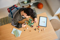 LEGO set 21271-1 The Trial Chamber - Image 9