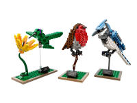 LEGO set 21301-1 Birds - Image 1