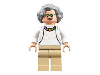 LEGO set 21312-1 Women of NASA - Image 11