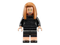 LEGO set 21312-1 Women of NASA - Image 12
