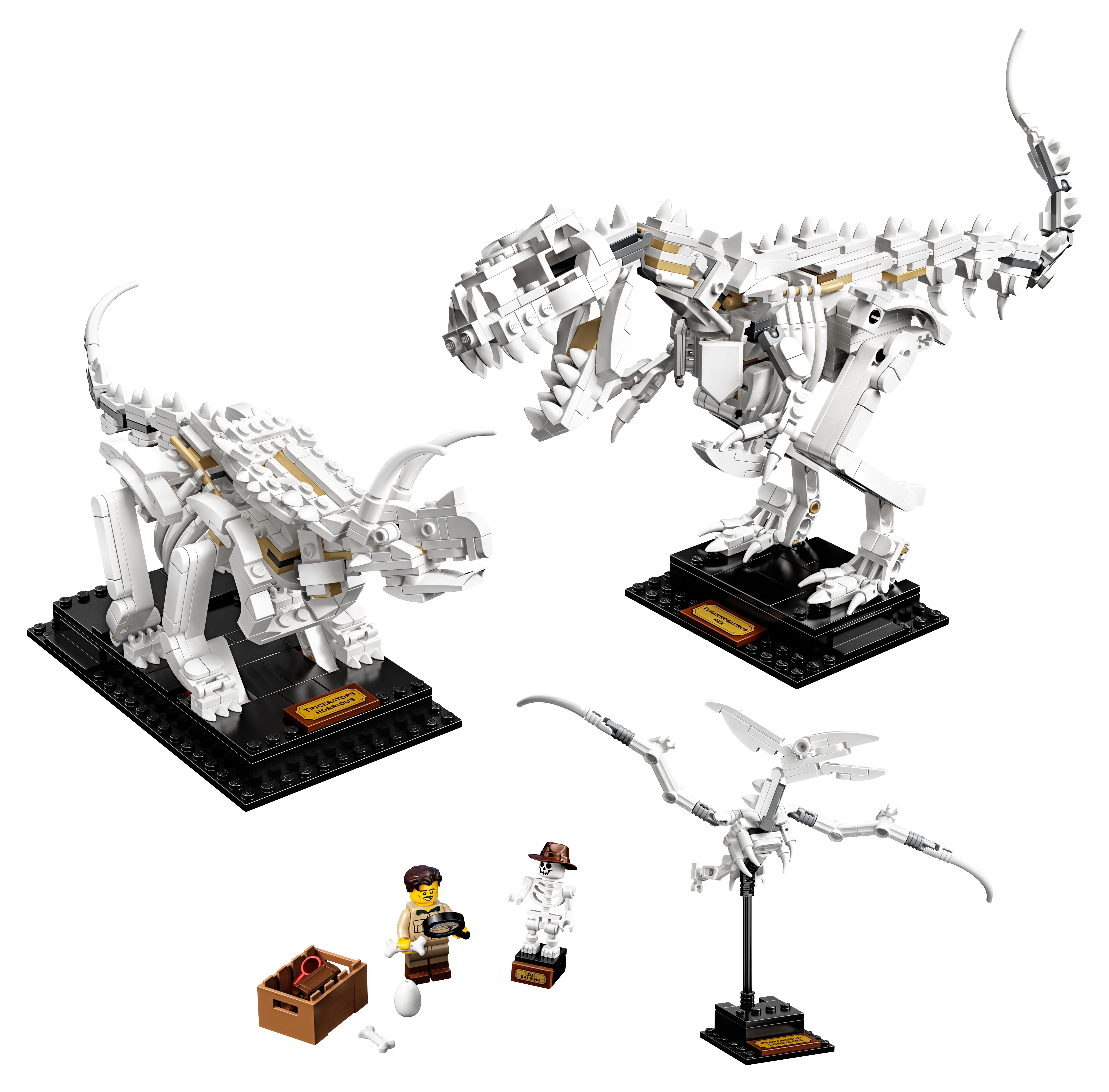 LEGO set 21320-1 Dinosaur Fossils - Image 1