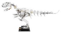 LEGO set 21320-1 Dinosaur Fossils - Image 11