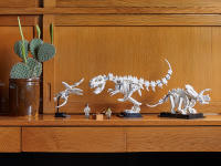 LEGO set 21320-1 Dinosaur Fossils - Image 19