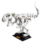 LEGO set 21320-1 Dinosaur Fossils - Image 13
