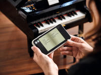 LEGO set 21323-1 Grand Piano - Image 19