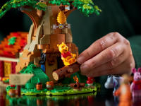 LEGO set 21326-1 Winnie the Pooh - Image 14