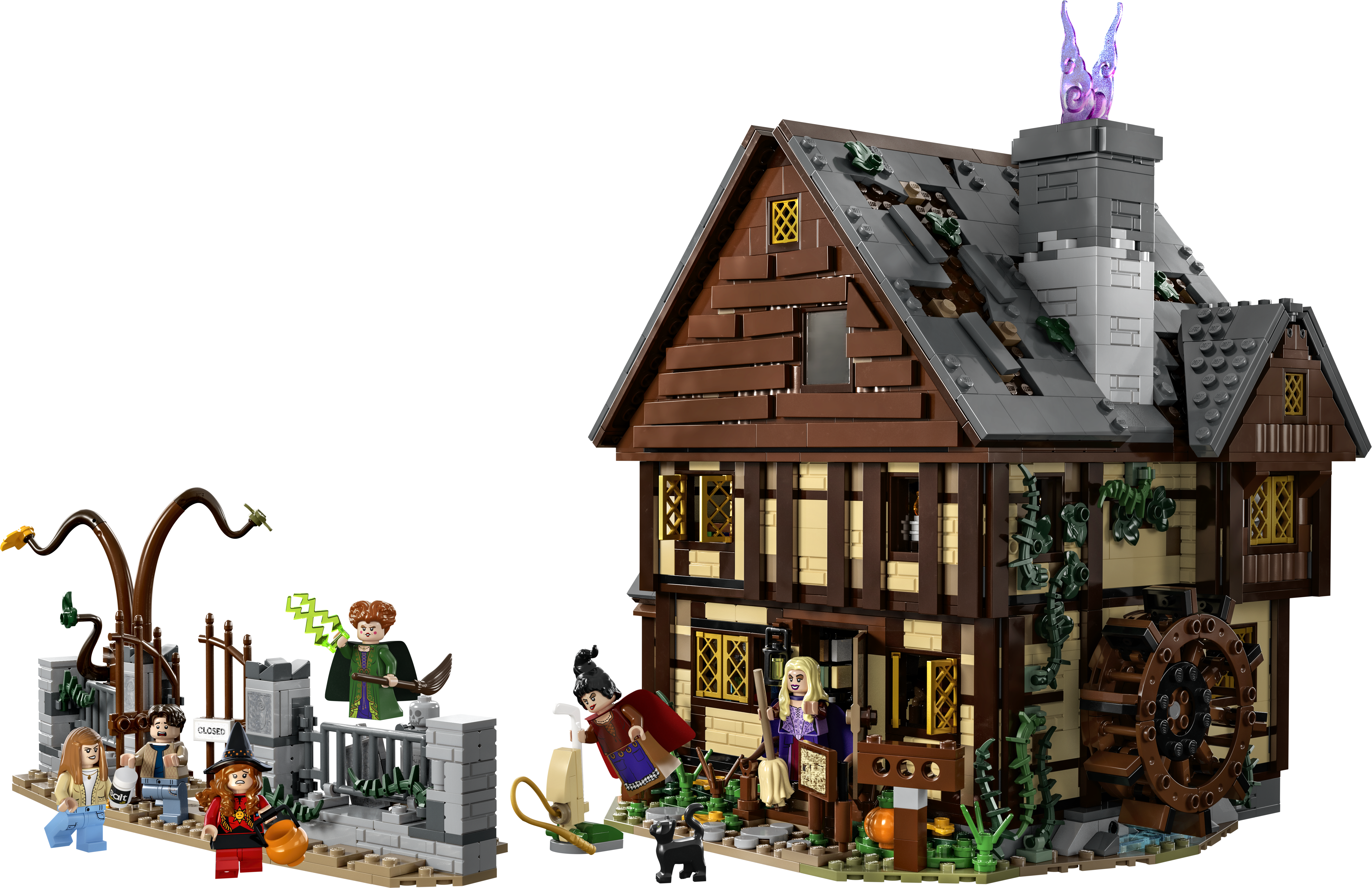 LEGO set 21341-1 Hocus Pocus - Image 1