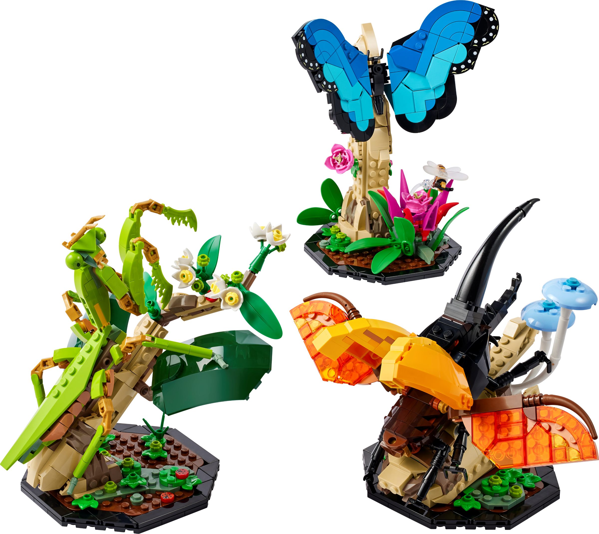 LEGO set 21342-1 The Insect Collection - Image 1