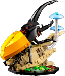 LEGO set 21342-1 The Insect Collection - Image 5