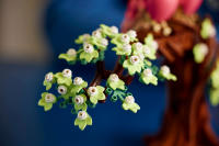 LEGO set 21365-1 Love Birds - Image 4