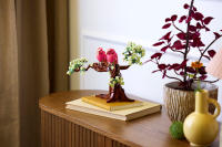 LEGO set 21365-1 Love Birds - Image 5