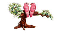 LEGO set 21365-1 Love Birds - Image 8