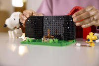 LEGO set 21368-1 Peanuts: Snoopy's Doghouse - Image 8