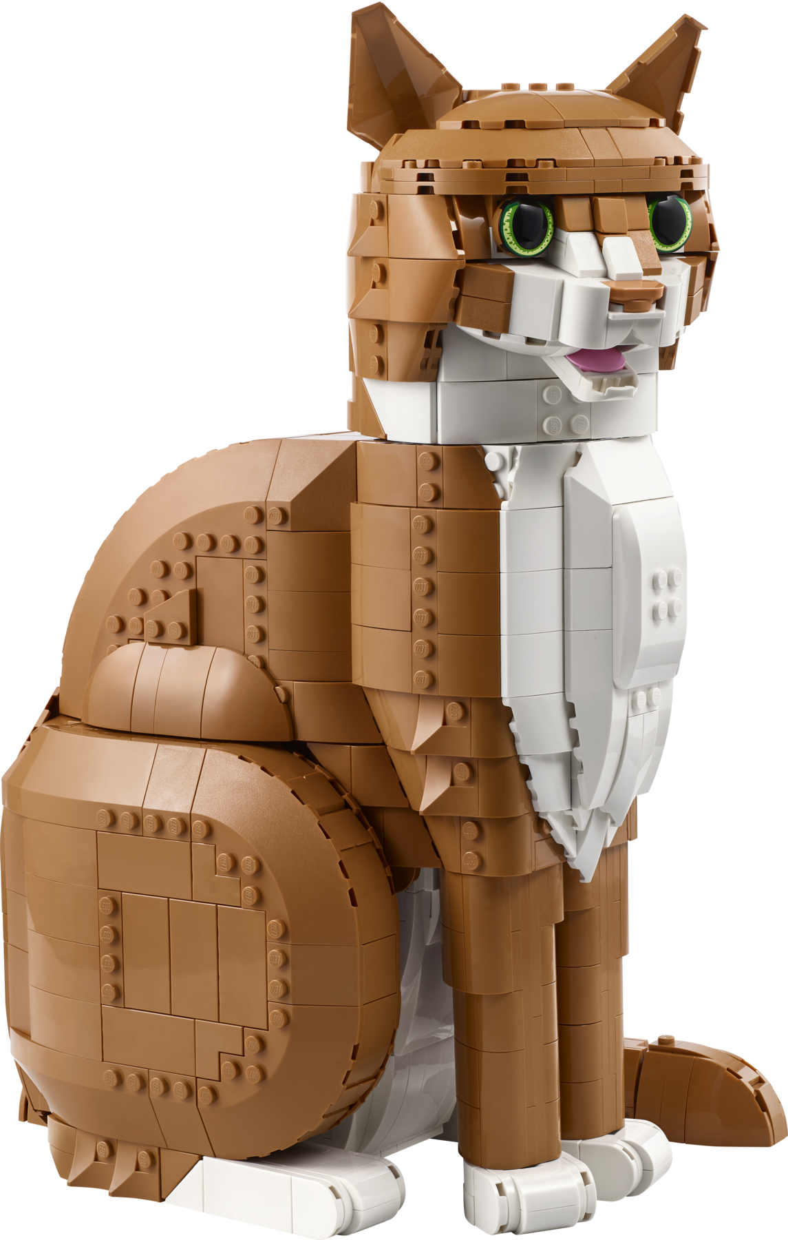 LEGO set 21376-1 Orange Cat - Image 1