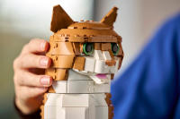 LEGO set 21376-1 Orange Cat - Image 3