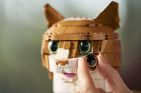 LEGO set 21376-1 Orange Cat - Image 4