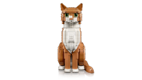 LEGO set 21376-1 Orange Cat - Image 8