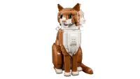 LEGO set 21376-1 Orange Cat - Image 9