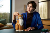 LEGO set 21376-1 Orange Cat - Image 13